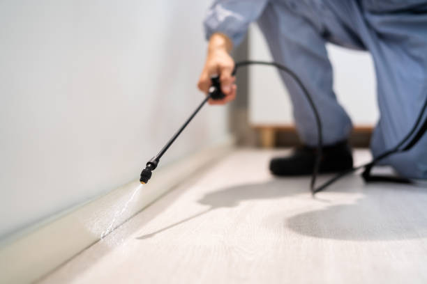 Certified termite inspector examining foundation in Clinton